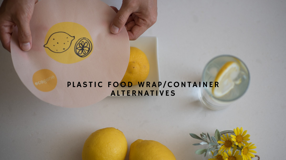 PLASTIC FOOD WRAP/CONTAINER ALTERNATIVES