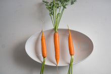 Load image into Gallery viewer, Carrot Wrap

